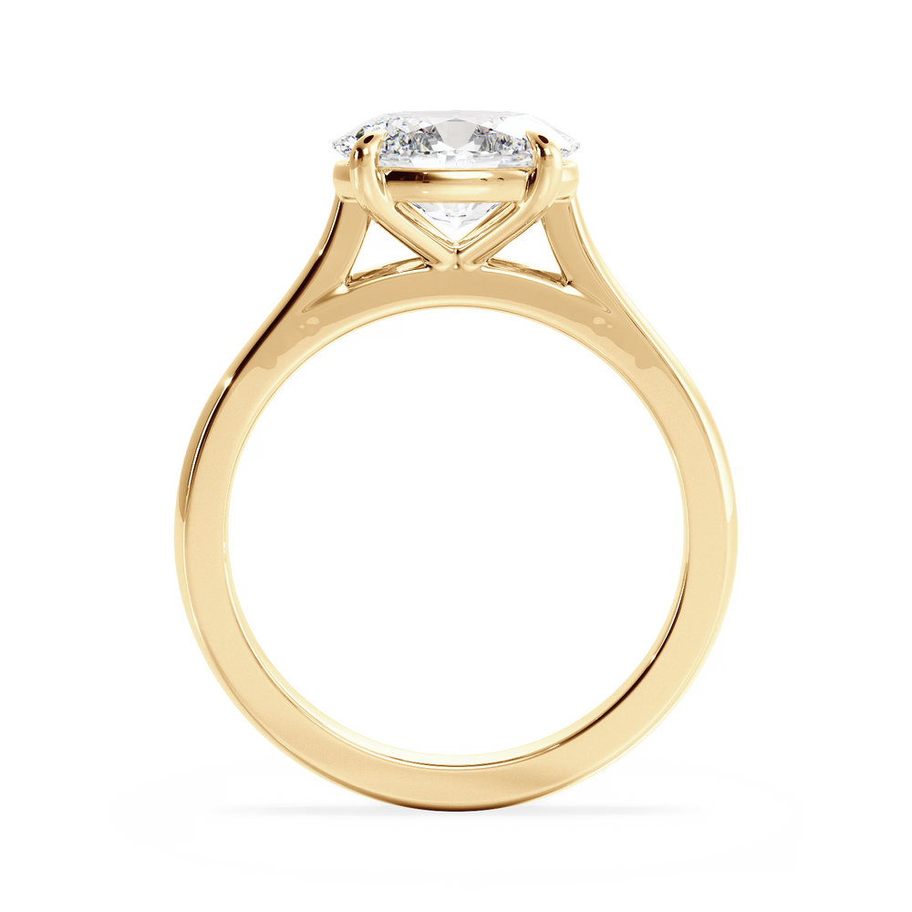 Base Ring - 010600020401030000000000 - View 