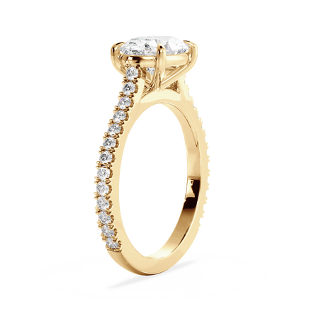 Base Ring - 010600020403110600000000