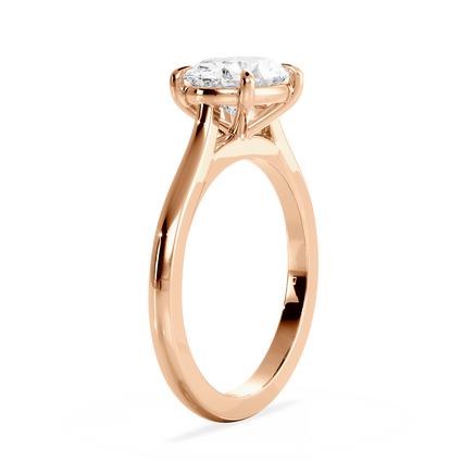 Base Ring - 010600021001020000000000