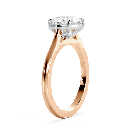 Base Ring - 010600021101020000000000