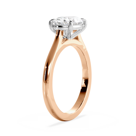 Base Ring - 010600021101030000000000