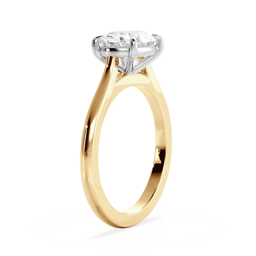 Base Ring - 010600021201020000000000 - View 