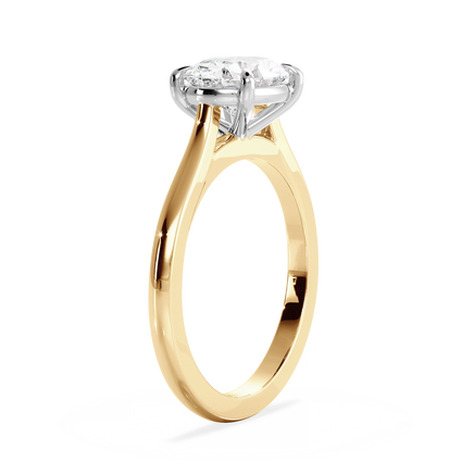 Base Ring - 010600021201020000000000