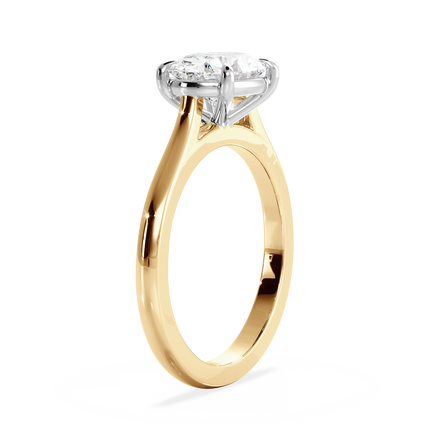 Base Ring - 010600021201030000000000