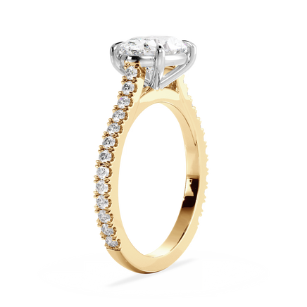 Base Ring - 010600021203110600000000