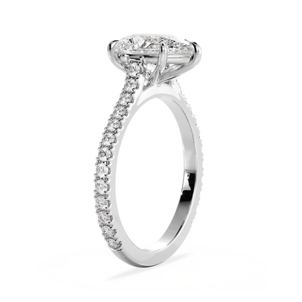 Base Ring - 010700010103110600000000