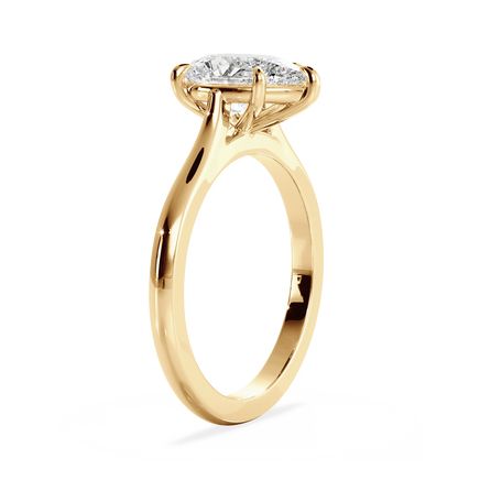 Base Ring - 010700010401020000000000