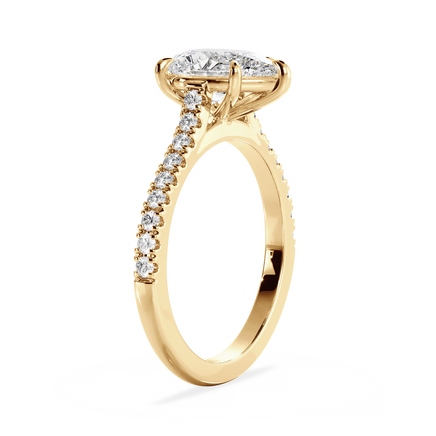 Base Ring - 010700010403070100000000