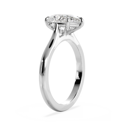 Base Ring - 010700010701030000000000