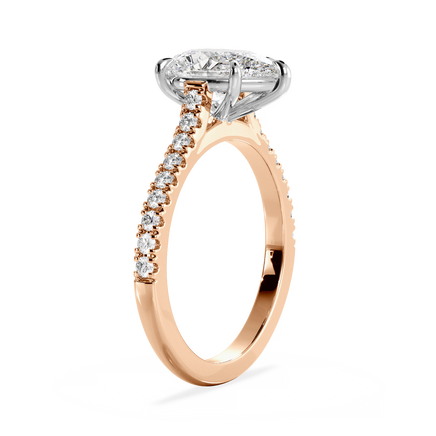 Base Ring - 010700011103070100000000