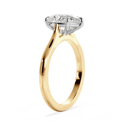 Base Ring - 010700011201020000000000