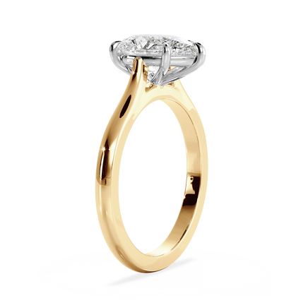 Base Ring - 010700011201030000000000