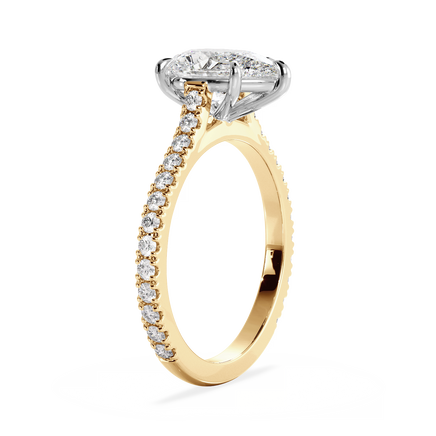 Base Ring - 010700011203110600000000