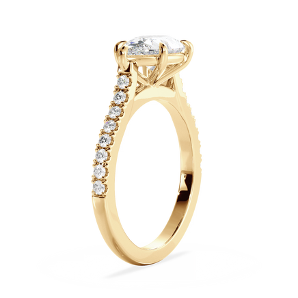 Base Ring - 010700020403070100000000