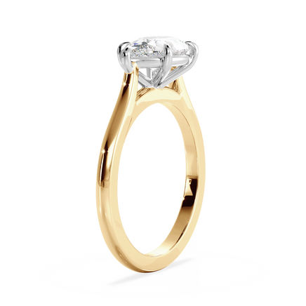 Base Ring - 010700021201020000000000