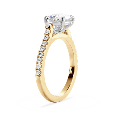 Base Ring - 010700021203070100000000