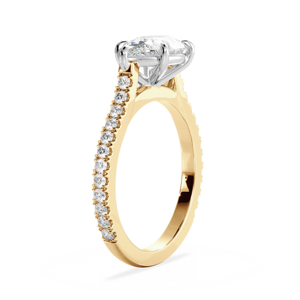 Base Ring - 010700021203070200000000