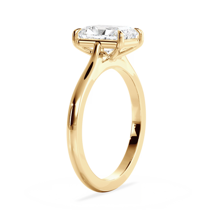 Base Ring - 010800010401020000000000