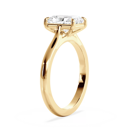 Base Ring - 010800010401030000000000