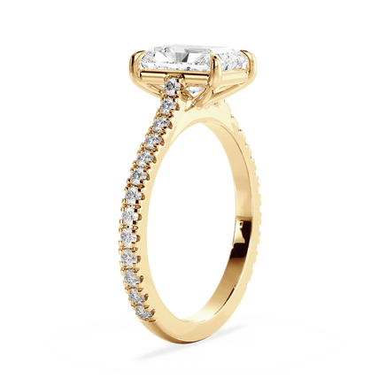 Base Ring - 010800010403070200000000
