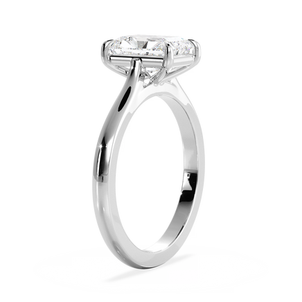 Base Ring - 010800010701030000000000