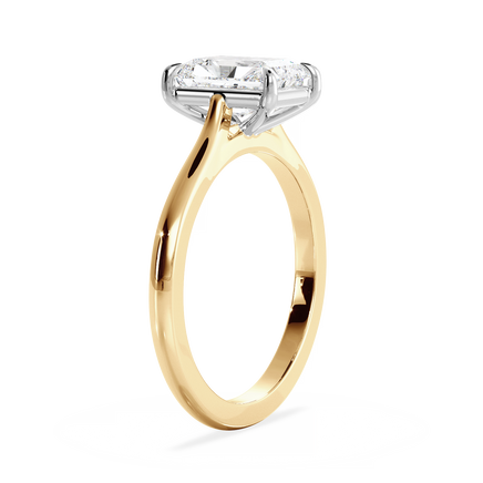 Base Ring - 010800011201020000000000