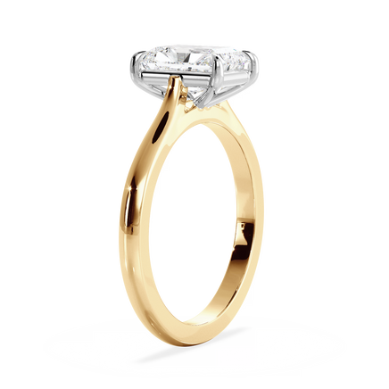 Base Ring - 010800011201030000000000