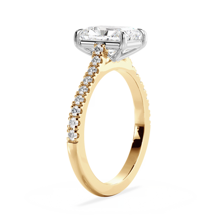 Base Ring - 010800011203110500000000