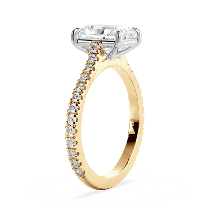 Base Ring - 010800011203110600000000