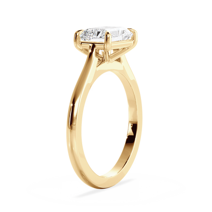 Base Ring - 010800020401020000000000