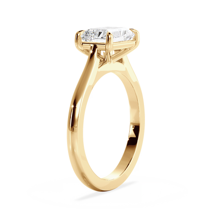 Base Ring - 010800020401030000000000