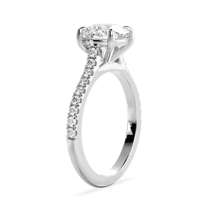Base Ring - 010901000103070100000000