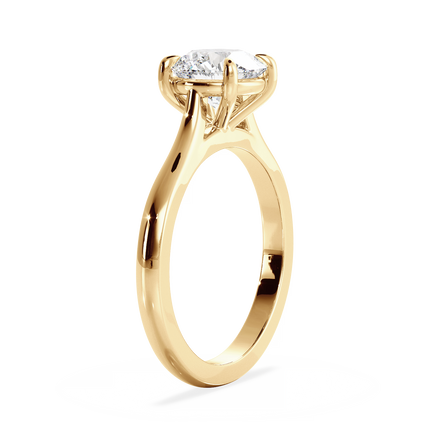 Base Ring - 010901000401030000000000
