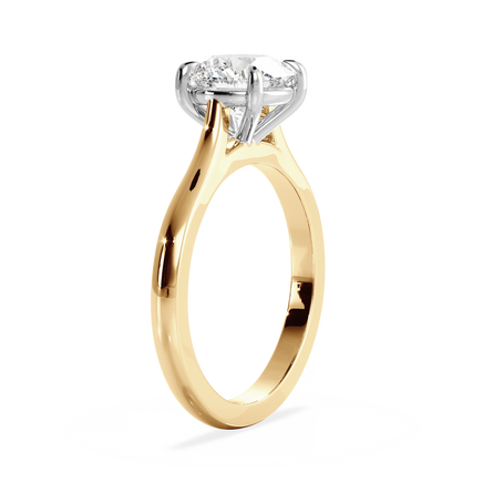 Base Ring - 010901001201030000000000