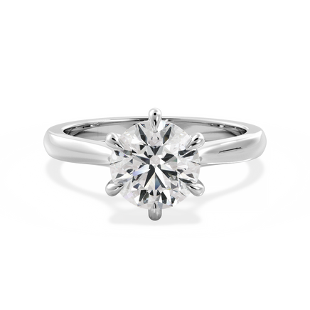 Base Ring - 010902000101030000000000
