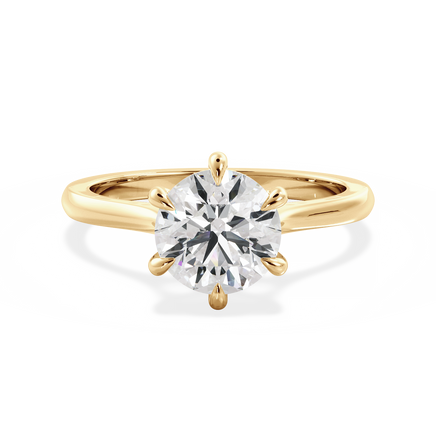 Base Ring - 010902000401020000000000