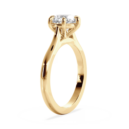 Base Ring - 010902000401030000000000