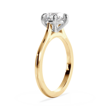 Base Ring - 010902001201020000000000