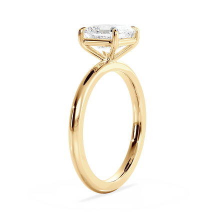 Base Ring - 020100000401020000000000