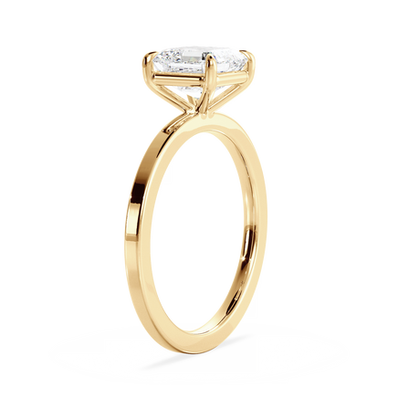 Base Ring - 020100000402040000000000