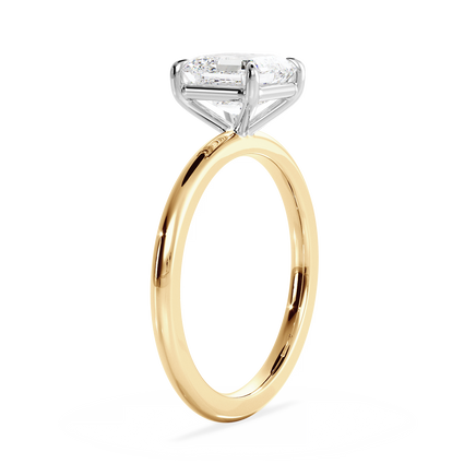 Base Ring - 020100001201010000000000