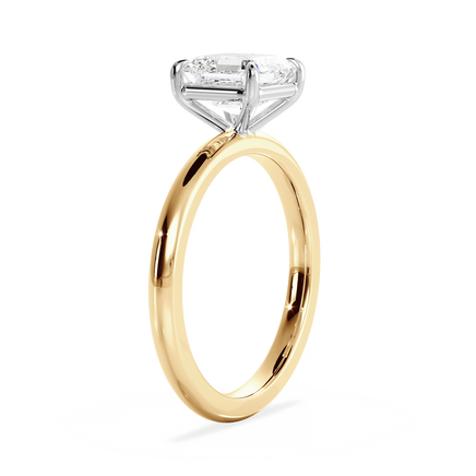 Base Ring - 020100001201030000000000