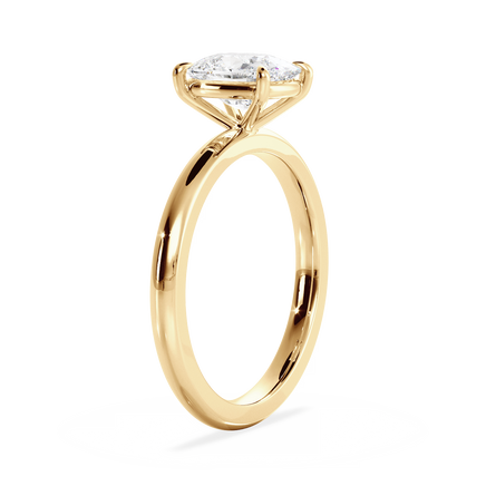 Base Ring - 020300010401030000000000