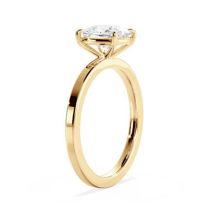 Base Ring - 020300010402050000000000