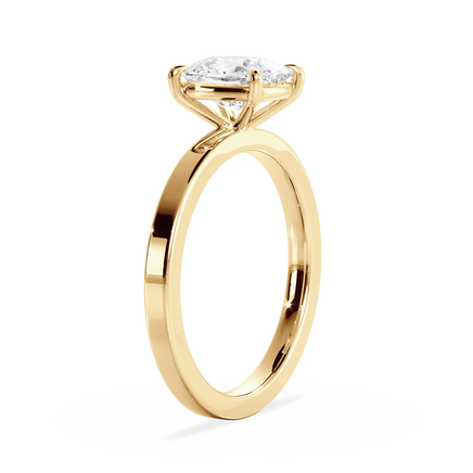 Base Ring - 020300010402060000000000