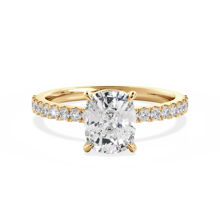 Base Ring - 020300010403070100000000