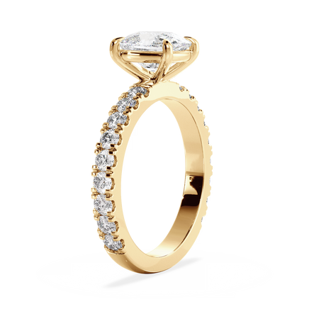 Base Ring - 020300010404080400000000
