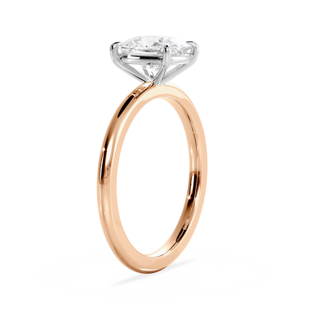 Base Ring - 020300011101010000000000
