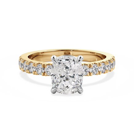 Base Ring - 020300011204080300000000