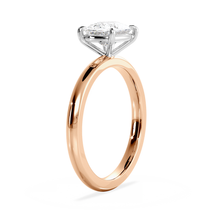 Base Ring - 020300021101030000000000